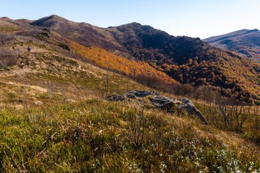 Bukowe Berdo 'ya giden Mavi Yol' un fotoğrafı. Bieszczady Dağları, Polonya 'da Sonbahar.