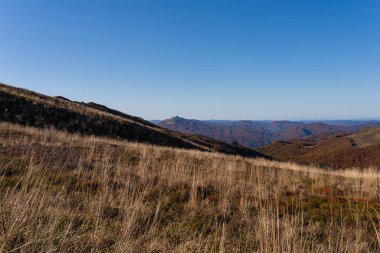 Polonya 'nın Bieszczady Dağları' nda sonbahar. Bukowe Berdo 'dan görüntü