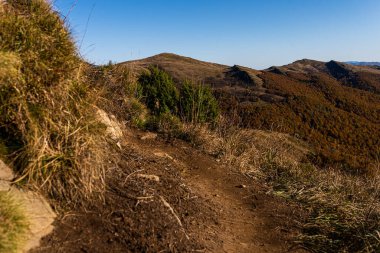 Polonya 'nın Bieszczady Dağları' nda sonbahar. Halicz Peak ve Rozsypaniec Peak. Goprowska Geçidi yakınlarındaki kırmızı patikadan görüntüle. 