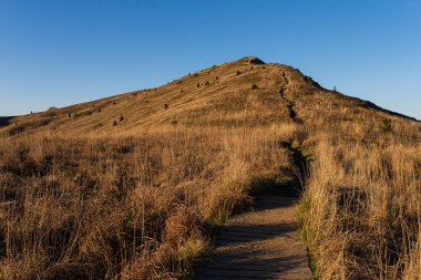 Halicz Tepesi 'ne giden kırmızı patika. Bieszczady Dağları, Polonya 'da güzel bir sonbahar manzarası.