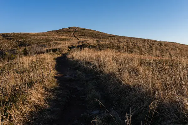 Halicz Tepesi 'ne giden kırmızı patika. Bieszczady Dağları, Polonya 'da güzel bir sonbahar manzarası.