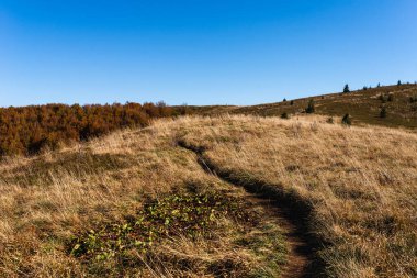 Bukowe Berdo 'ya giden Mavi Yol' un fotoğrafı. Bieszczady Dağları, Polonya 'da Sonbahar.