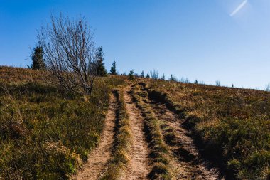 Bukowe Berdo 'ya giden Mavi Yol' un fotoğrafı. Bieszczady Dağları, Polonya 'da Sonbahar.