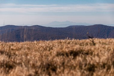 Polonya 'nın Bieszczady Dağları' nda sonbahar. Wielka Rawka 'dan Mala Rawka' ya kadar olan sarı patikadan bak. Tatra dağları Bieszczady Dağlarından görüldü.