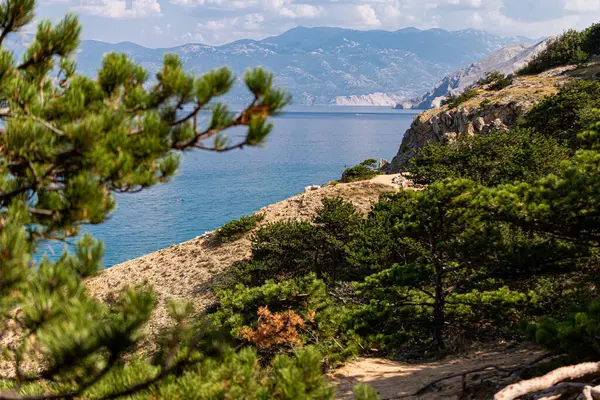 Güzel Akdeniz manzarasının fotoğrafı, Baska, Krk Adası, Hırvatistan