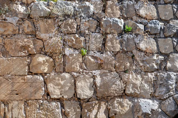 Textura Superfície Parede Feita Pedras Jerusalém Cortadas Forma Desigual Isarel — Fotografia de Stock