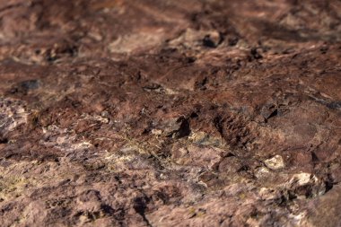 Mineralleştirilmiş taşın renkli yüzeyi. Ramon krateri. Negev Çölü. İsrail. Seçici odak