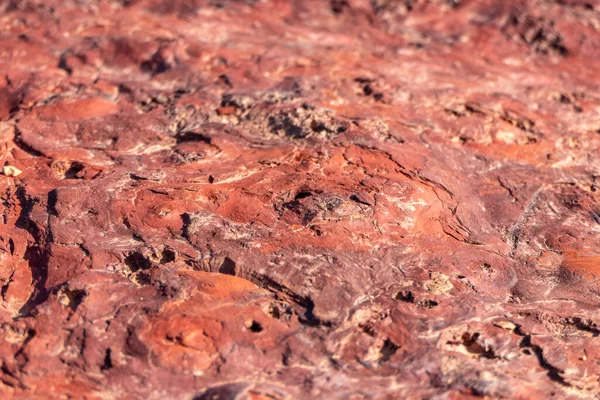 Mineralleştirilmiş Taşın Renkli Yüzeyi Ramon Krateri Negev Çölü Srail Seçici — Stok fotoğraf