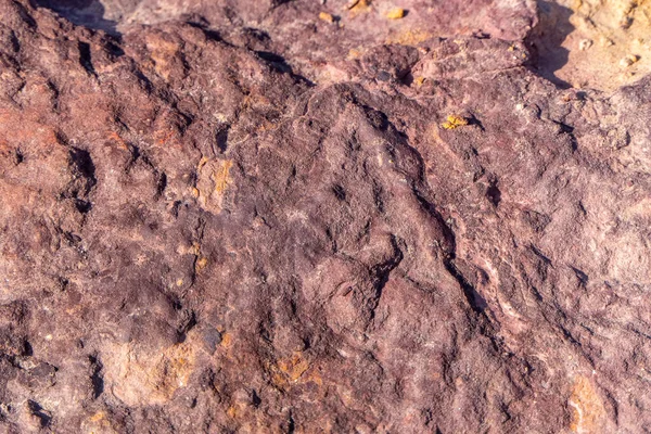 stock image Colorful surface of mineralized stone. Ramon crater. Desert of the Negev. Israel. Selective focus