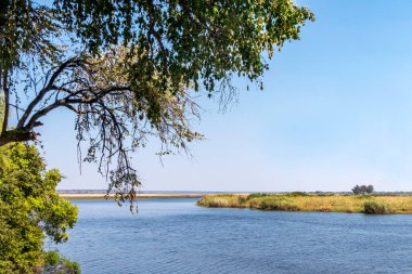 View of the banks and waters of the Chobe River in the Chobe National Park in Botswana. Reflection of vegetation in the water