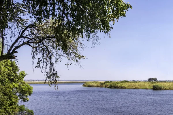 View of the banks and waters of the Chobe River in the Chobe National Park in Botswana. Reflection of vegetation in the water