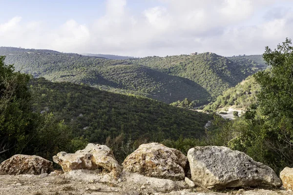 Västra Galileen Mount Carmel Mot Blå Himmel Med Vita Moln — Stockfoto