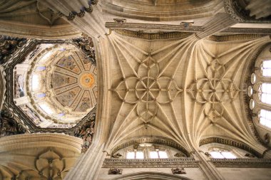 Salamanca, İspanya - 10 Şubat 2010: Salamanca Katedrali, unesco dünya mirası.
