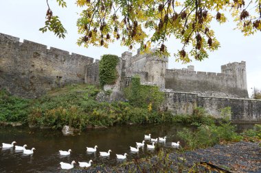 medieval Cahir Castle and river in Ireland clipart