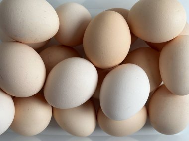 Tavuk yumurtaları yakın plan. Doku ve arka plan. Metin için yer.