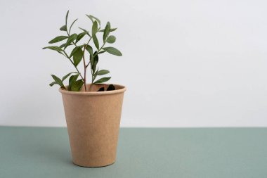 Çevre dostu tek kullanımlık kağıt sofra takımı. Kağıt bardak, ahşap çatal, geri dönüşüm. Boşluğu kopyala