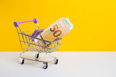 Alışveriş pahalıya patlıyor. Alışveriş arabasında Euro banknotları. Alışveriş konsepti maliyeti
