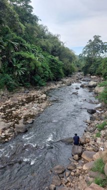 Ormanda güzel bir şelale