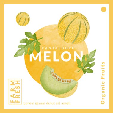 Kavun paketleme şablonları, suluboya biçim vektör çizimi.