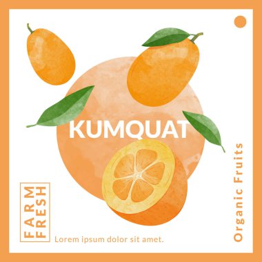Kumquat fruit packaging design templates, watercolour style vector illustration.