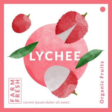Lychee paketleme tasarım şablonları, suluboya biçim vektör çizimi.