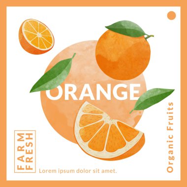 Orange packaging design templates, watercolour style vector illustration.