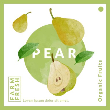 Pear packaging design templates, watercolour style vector illustration.