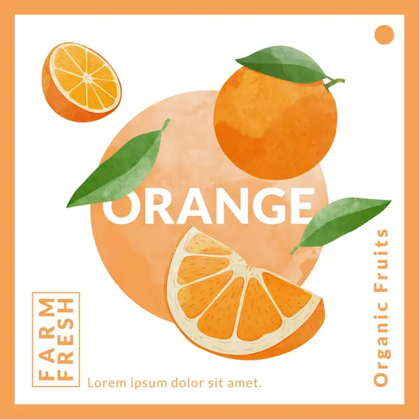 Orange packaging design templates, watercolour style vector illustration.