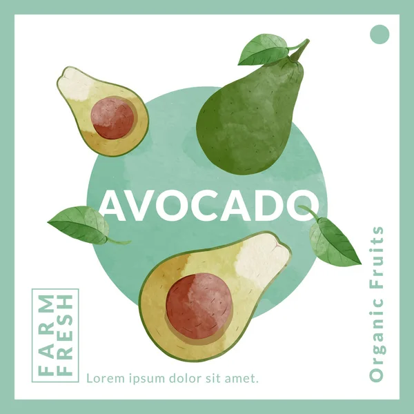 Avocado Packaging Design Templates Watercolour Style Vector Illustration 스톡 벡터