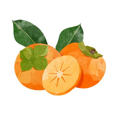 Hurma tasarımı elementleri. suluboya biçim vektör illüstrasyonu.