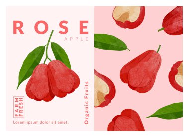 Gül Elması ambalaj tasarım şablonları, suluboya biçim vektör çizimi.