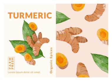 Zerdeçal ambalaj tasarım şablonları, suluboya biçim vektör çizimi.