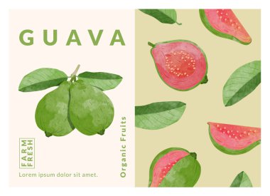 Guava Paketleme şablon vektör çizimi 