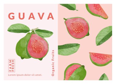 Guava Paketleme şablon vektör çizimi 