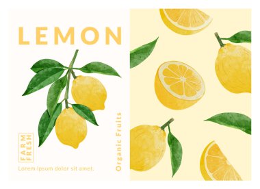 Limon paketleme tasarım şablonları, suluboya biçim vektör çizimi.