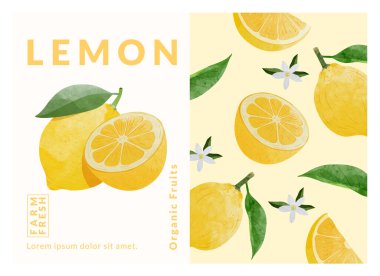 Limon paketleme tasarım şablonları, suluboya biçim vektör çizimi.