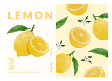 Limon paketleme tasarım şablonları, suluboya biçim vektör çizimi.