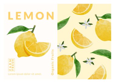 Limon paketleme tasarım şablonları, suluboya biçim vektör çizimi.
