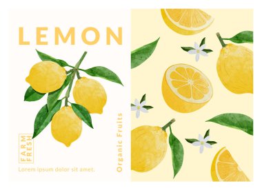 Limon paketleme tasarım şablonları, suluboya biçim vektör çizimi.