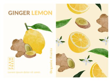 Ginger ve Lemon ambalaj tasarım şablonları, suluboya biçim vektör çizimi.