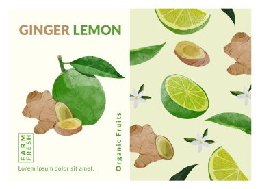Ginger ve Lime ambalaj tasarım şablonları, suluboya biçim vektör çizimi.