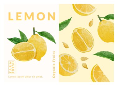 Limon paketleme tasarım şablonları, suluboya biçim vektör çizimi.