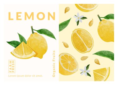 Limon paketleme tasarım şablonları, suluboya biçim vektör çizimi.