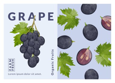 Üzüm paketleme tasarım şablonları, suluboya biçim vektör çizimi.