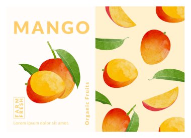 Mango paketleme tasarım şablonları, suluboya biçim vektör çizimi.