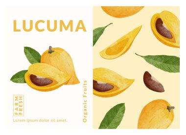 Lucuma, canistel, yumurta meyvesi paketleme tasarım şablonları, suluboya biçim vektör çizimi.