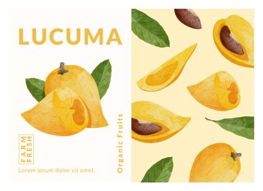 Lucuma, canistel, yumurta meyvesi paketleme tasarım şablonları, suluboya biçim vektör çizimi.