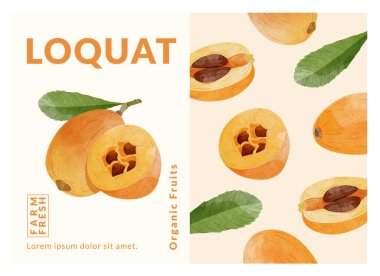 Loquat meyve paketleme tasarım şablonları, suluboya biçim vektör çizimi.