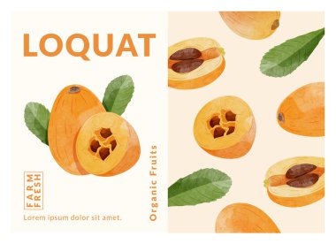 Loquat meyve paketleme tasarım şablonları, suluboya biçim vektör çizimi.