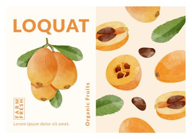 Loquat meyve paketleme tasarım şablonları, suluboya biçim vektör çizimi.